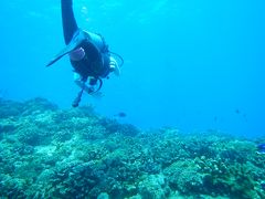 最高の海遊び！旬の粟国へ～　２