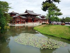 2016初夏　宇治平等院と宇治上神社を訪ねて