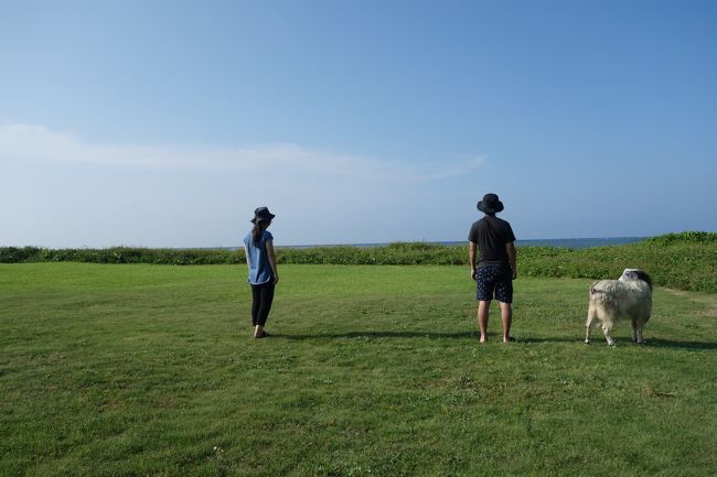 与那国から西表島へ。<br />日本に残された最後の秘境・西表島。<br /><br />亜熱帯のジャングルでのアクティビティ。<br />ヤギと戯れ、癒される。<br /><br />さて、今回はイリオモテヤマネコとは、<br />出会えたのでしょうか？<br /><br /><br /><br />