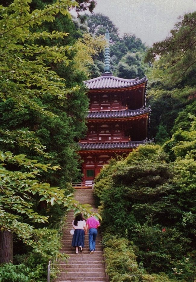 奈良県一のあじさい名所寺と三重塔が美しい寺 大和郡山 田原本 奈良県 の旅行記 ブログ By マローズさん フォートラベル