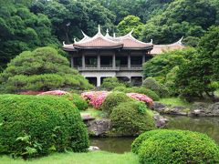 ２０１年５月　東京　４日目　その２　新宿御苑の日本庭園のサツキと温室