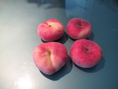 オランダで食べる桃