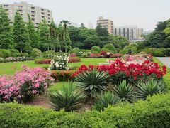 ２０１６年５月　東京４日目　その３　新宿御苑　フランス式整形庭園のバラとツツジ山