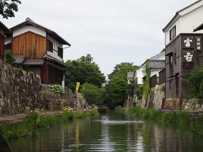 3月に南濃町のステーキの宮でランチした時に、アンケート懸賞に応募したところ、「銅賞津々浦々旅する日帰り旅行」に当選とのことで、無料旅行に参加してきました。ステップトラベル日帰り旅行は何度か参加していますが、ステーキの宮の企画は初参加。今回は出発時間が8時50分と遅め、いつもの岐阜県養老町のモード館高木ミンクに立ち寄り、毛皮製品、ムートン製品の試着買物などの後、彦根城の本町商店街をリニューアルした四番町スクエアで、昼食と散策、近江八幡の八幡堀へ移動し、日牟禮八幡宮で記念撮影、八幡山ロープウェイの方、八幡堀めぐりの方、自由散策に分かれて75分。<br />八幡堀は3回目の訪問ですので、オプションで八幡堀めぐり30分1000円を体験してきました。花菖蒲やアジサイが咲いている中風情ある船めぐりが出来ました。<br />下船後、たねや本店のそば茶付きの焼きたてのつぶら餅1個をおいしくいただき、クラブハリエは見学だけでバームクーヘンなどの土産は時間不足で買えませんでした。<br />道の駅あいとうマーガレットステーションで、ポピーの花つみ予定が、残念ながらすでに花は咲き終わり、メロンジェラートをいただいて、半額お好み寿司弁当を買って時間切れ、ここはかわいいドライフラワー製品やおみやげが数多くあり見ているだけで楽しいところですのでゆっくり見て回りたいところですが、ツアーでは難しいですね。<br />信楽陶苑たぬき村、三重名阪関ドライブインに立ち寄って、お買い物を楽しみ、鈴鹿で渋滞しましたが、予定20時着より早く名古屋に到着し、無事ツアーは終了でした。<br />とっても珍しいお名前のもみの木添乗員さん、平野ドライバーさんお疲れ様ありがとうございました。<br /><br />道の駅あいとうマーガレットステーション　休館日：火曜日(祝日の場合営業及び11月無休)、年末年始、2月第3月曜日<br />　9:30-18:00(10-4月)　9：30-19：00(5-9月)<br /><br />三重県名阪関ドライブイン　営業時間8-19時