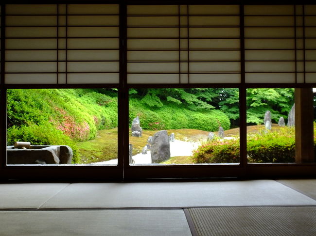 東福寺光明院　サツキの風景です。