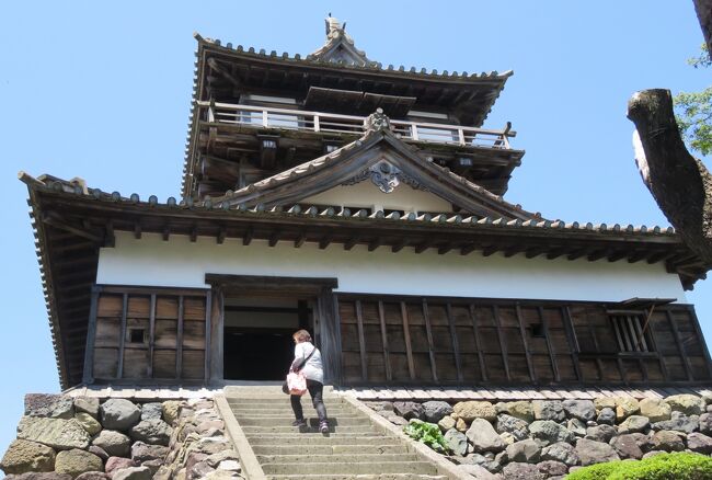 2016春、福井県の名城(2/15)：丸岡城(2)：天守台、現存の天守閣、福井大地震時の写真