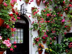 白い街に青い街、コルドバのパティオ祭りにフェズのリアド巡り！雨のアンダルシアとプチ･モロッコ旅⑥(パティオ祭り後半戦と夜のコルドバ編）