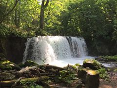 青森　みちのく研修旅行２０１６