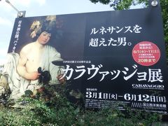 上野国立博物館の「黄金のアフガニスタン展」と「伊藤マンショの肖像」西洋美術館の「カラヴァッジョ展」見学