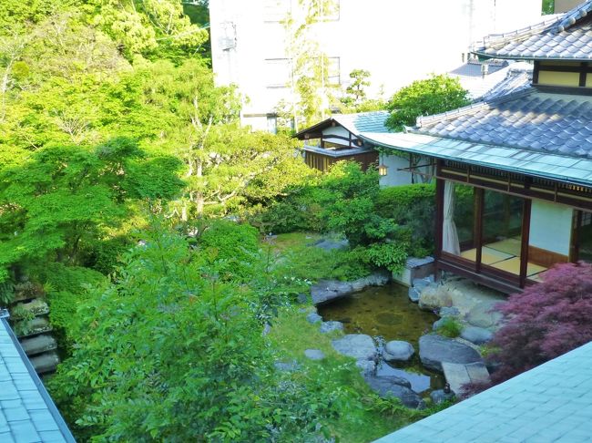 道後温泉で泊まったお宿は、道後公園のそばに佇む《うめ乃や》さん。<br /><br />道後温泉は有名な温泉地なだけに宿もたくさんあるけれど、そのほとんどは大型の旅館やホテル。夫もわたしもこぢんまりとした宿が好みなので、できるだけ小規模なところをと探して見つけたのがこのお宿です。全8室で、温泉街まで歩いてすぐとアクセスもよく、専用駐車場もあって、希望にぴったり。<br /><br />予約サイトのクチコミを見ると内湯と露天が小さいとのことだけど、宿の雰囲気はよさそうで、お料理もおいしいみたいなのでここにしました。早くに予約したからか、通常料金よりちょっとお得に泊まることができたのもうれしい。<br /><br />★お宿 道後湯築の杜《うめ乃や》<br />http://dogo-umenoya.jp/