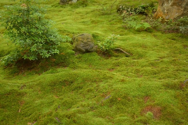 梅雨の時期に入りましたが、なんとか晴れマークなので、思い立って出かけました。　鳥居が並んでいる　伏見稲荷・・まだ行ったことがないのでした・・・　そしてねじりマンボによって大原三千院経由の琵琶湖見てのドライブ・・に<br />嫁はんを誘い出して行ってきました　お気軽日帰りドライブです