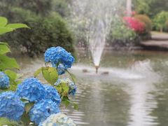 水戸のあじさいまつり満喫～♪①水戸／保和苑