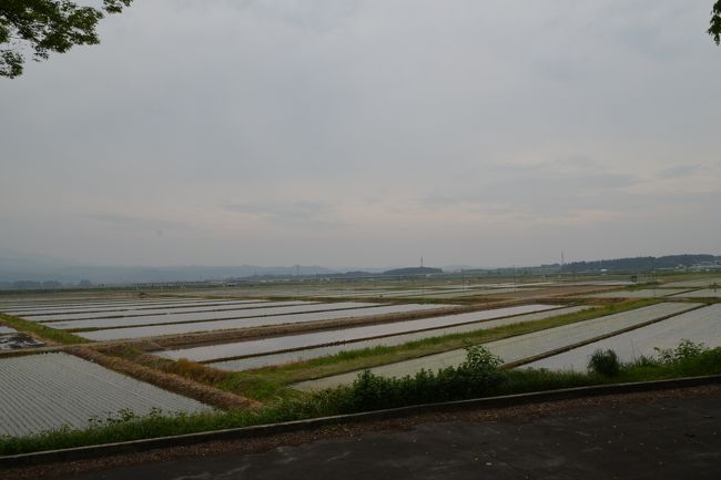 《尾花沢にて清風といふ者を尋ぬ。かれは富める者なれども、志卑しから　ず。都にもをりをり通ひて、さすがに旅の情けをも知りたれば、日ごろと　どめて、長途のいたはり、さまざまにもてなしはべる。　<br /><br />　　　涼しさをわが宿にしてねまるなり　芭蕉　　》<br /><br />尾花沢にはJRの駅も他の電車の駅もなくバスの本数も少ないので大石田からタクシ－で行きました。芭蕉清風歴史資料館はあいにく休館日でした。養泉寺からちょっと降りていったところに代田と植田が広がってました。（表紙の写真）なんとも美しい懐かしい景色でした。何組かの散歩している人たちと話しをしました。みんな尾花沢を愛していることが分かります。そのうちの一人が清風宅まで案内してくれました。表札には鈴木某とあり驚きました。300年の時間を経ていま鈴木清風の子孫がここに住んでいるのだろうかと思いわくわくしました。しかし落ち付いて考えてみると鈴木という姓は日本で一番多い姓なので、子孫ではなくたまたま同じ姓の人が住んでいたのかもしれない、とも思いました<br />尾花沢のあと将棋の駒の町天童に寄ってから山寺へ行き立石寺にのぼりました。新幹線ができたために山寺観光は日帰りになってしまい旅館・ホテルが次々に廃業し一軒だけ残ったという宿に泊まりました。女将の人柄もよく食事もおいしくて大満足でした。<br /><br />