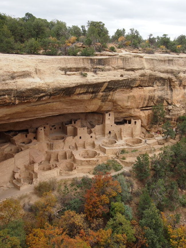 4日目は、前日行けなかったメサ・ヴェルデ国立公園Mesa Verde National Parkを見学して、サンタフェSanta Feまで。http://www.nps.gov/meve/index.htmここは1979年にアメリカで初めて世界文化遺産に登録された所です。10月でも雪が積もることがあり、公園内の2つのループのうち1つは6〜8月にしか入れません。