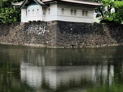 皇居東御苑1　東京駅・大手町～江戸城本丸跡　☆ノイバラ・シラン・チャノキもあり