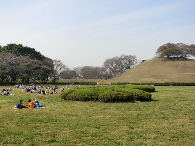 「さきたま古墳群」は「行田市」にある「５世紀末から７世紀」にかけて成立したと考えられている「９基（稲荷山古墳、丸墓山古墳、二子山古墳、将軍山古墳、愛宕山古墳、瓦塚古墳、奥の山古墳、鉄砲山古墳、中の山古墳）の大型古墳」からなる「古墳群」です。<br /><br />特筆すべきは「１９８３年」に「稲荷山古墳」から「副葬品」として出土した「１１５文字の漢字」で「金象嵌」された「稲荷山古墳出土鉄剣（金錯銘鉄剣）」に「獲加多支鹵大王（ワカタケル大王、雄略天皇）」と記されていることで「５世紀後半」に「大王の権力（大和王権）」が「東国（及び九州）」にまで及んでいたことが解明されたたことです。<br /><br />「さきたま古墳群」は「埼玉古墳群 −古代東アジア古墳文化の終着点−」として「世界遺産」への登録を推進しています。<br /><br />写真の「丸墓山古墳」は「埼玉古墳群の一基」で「６世紀前半」に築造されたとされる「直径１０５ｍ」「高さ１８.９ｍ」の「日本最大規模の円墳」です。<br /><br />「１５９０年（天正１８年）」の「小田原征伐」に際して「忍城攻略の命」を受けた「石田三成」が「丸墓山古墳の頂上」に陣を張り「水攻めの指揮」をとりました。<br />