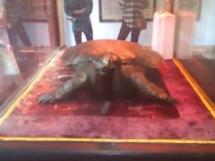 初ハノイを肌で感じる旅！