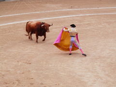 明治神宮から闘牛の国へ