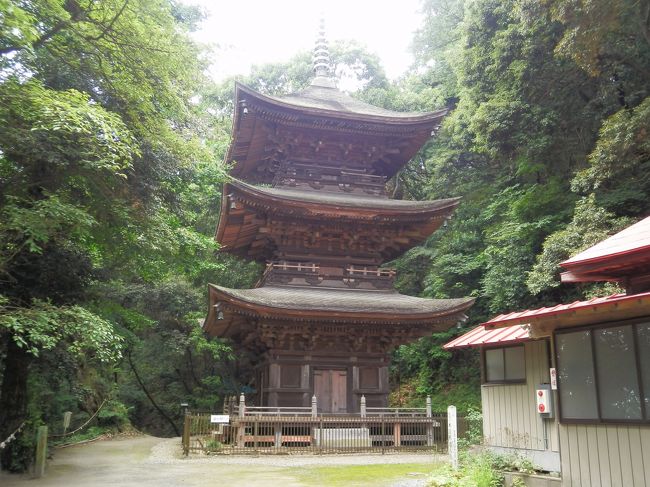 回顧録　2013年7月　茨城・栃木の旅(2)　内外大神宮・小山寺・筑波山神社など