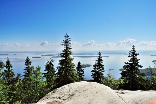 夏の扉を開けて 輝きの季節を迎えたフィンランドへー１ コリ国立公園 森と湖の絶景に ヨエンスー フィンランド の旅行記 ブログ By Tamayuraさん フォートラベル