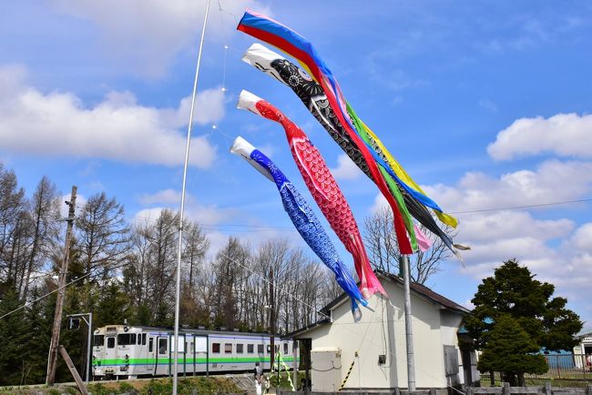 エゾリスが訪れるカタクリ群落がJR札沼（さっしょう）線沿いの浦臼神社境内にあります。<br /><br />2016年3月26日のダイヤ改正以降、新十津川〜浦臼間は1日1本しか走らない超ローカルな札沼線になってしまいました。<br /><br />今日は札沼線の終着駅新十津川から列車に乗り、沿線風景を車窓から楽しみ、石狩月形でのタブレット（通票）交換に出会います。<br /><br />また、駅前に残る大きな農業倉庫を観察すると、造りや形に少しづつ違いがあることがわかります。<br />