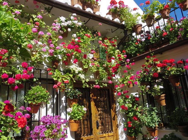 オランダ スペイン 花の旅 No １０ コルドバ アルカサル地区９つのパティオ コルドバ スペイン の旅行記 ブログ By 夏への扉さん フォートラベル