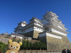 クマ　兵庫デビュー　ルミナリエシーズンにセレブな旅するクマ　その３