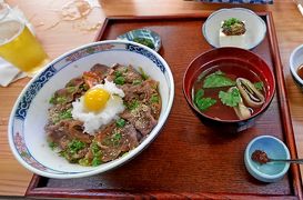 2016.6名古屋出張・電車の旅4-大垣城，大垣市郷土館，うどんそばさらしなの牛めし膳，帰京