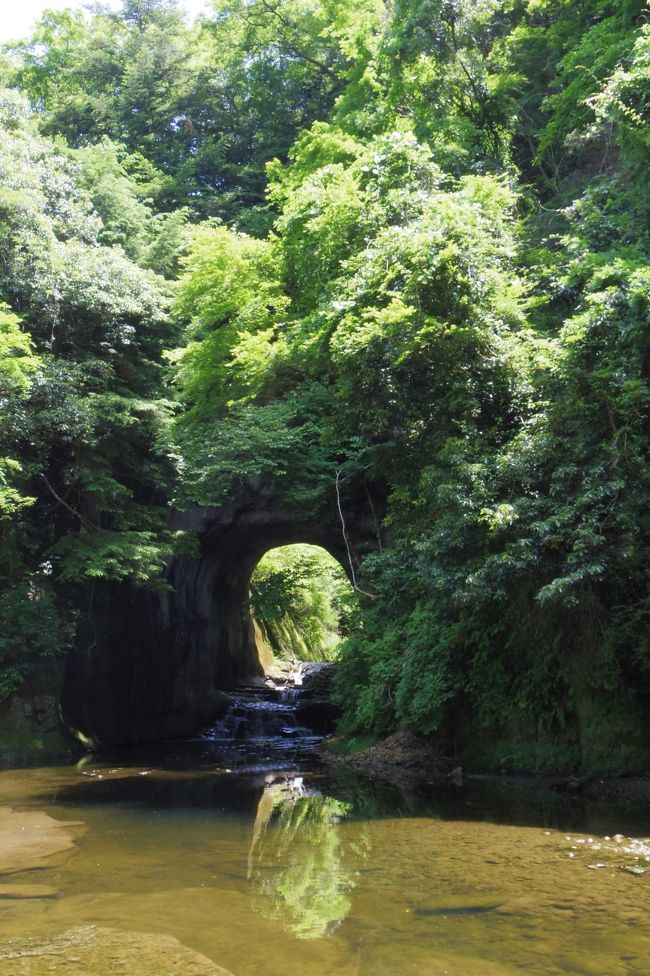 鴨川に仲良しの従姉妹がいるので日帰りで遊びに行く事に。<br />しょっちゅう行っているのですが、たまには観光地にも寄りつつ、プチ旅行気分で訪れてみました。