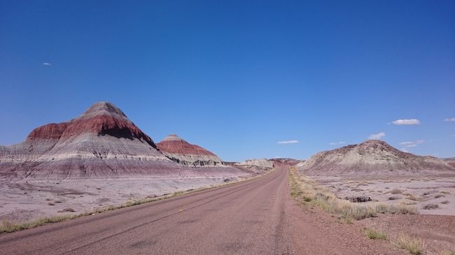 Petrified Forest National Park（2016GWの旅行記）