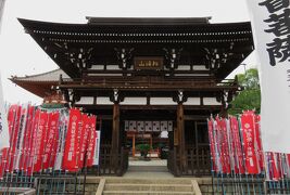 2016春、龍泉寺観音と龍泉寺城(1/4)：ゆとりーとラインで龍泉寺へ、龍泉寺観音、仁王門