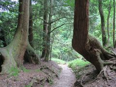 ついうっかり歩いてしまった新緑の鞍馬寺から貴船神社の山道