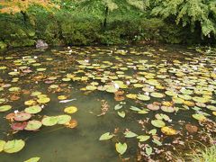 鮎と生ハムモネの池