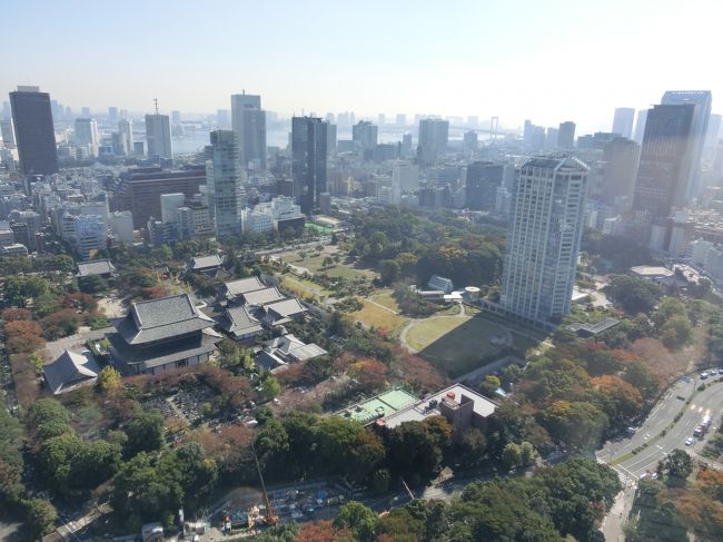 「芝公園」は「東京都港区」にある「増上寺境内の敷地」であった場所を「都立公園」として整備し「日本で最も古い公園の一つ」として「１８７３年（明治６年）」に開園した「広大な公園」です。<br /><br />「芝公園内」には「ホテル」「学校」「図書館」などの施設が点在するほか「前方後円墳の芝丸山古墳」「丸山貝塚」「芝東照宮」「丸山随身稲荷大明神」「伊能忠敬記念碑」なども位置しています。<br /><br />写真は「東京タワー」から撮った「芝公園（左側は増上寺）」です。