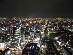 なばなの里で花を楽しみ名古屋のホテルを満喫（２）