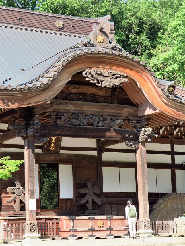 深大寺（じんだいじ）は、東京都調布市深大寺元町五丁目にある天台宗別格本山の仏教寺院である。山号は浮岳山。日本三大だるま市の1つ「深大寺だるま市」で知られている。隣接する東京都立神代植物公園は旧寺領であった。<br /><br />「深大寺」の名称は、仏法を求めて天竺（インド）を旅した中国僧玄奘三蔵を守護したとされる水神「深沙大王」（じんじゃだいおう）に由来していると伝えられている。 天平5年（733年）満功上人が法相宗の寺院として開創したと伝える。859年、天台宗に改宗する。1646年と1865年に火災に遭っており、堂宇の大半を失っている。現在の本堂は大正年間の再建である。<br />本尊は本堂に安置の阿弥陀三尊像。東京都では浅草の浅草寺に次ぐ古刹である。<br />重要文化財（国指定）　銅造釈迦如来倚像<br /><br />山門の周辺は歩行者専用の門前町ゾーンとなっており、名物「深大寺そば」を食べさせる蕎麦屋多数のほか土産物屋などが並ぶ。「深大寺そば」が付近の名物として発達したのも水の恵みと無関係ではない。蕎麦の栽培、そば打ち、釜茹で、晒しに湧水が利用されただけでなく、水車を利用してのそばの製粉も行われてきた。<br />（フリー百科事典『ウィキペディア（Wikipedia）』より引用）<br /><br />深大寺　については・・<br />http://www.jindaiji.or.jp/<br />http://jindaiji.sakura.ne.jp/<br />