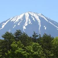 富士山を眺める旅・・・のはずだった富士山麓の1泊 後半