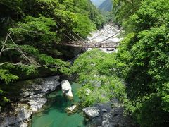 徳島・祖谷渓ドライブ　朝うどんと新緑とかずら橋　2015.5月