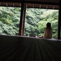 蓮花寺　雨が好きになる京都のお寺part1