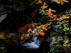 ◆初夏の羽鳥湖高原・麗しの滝と花めぐり