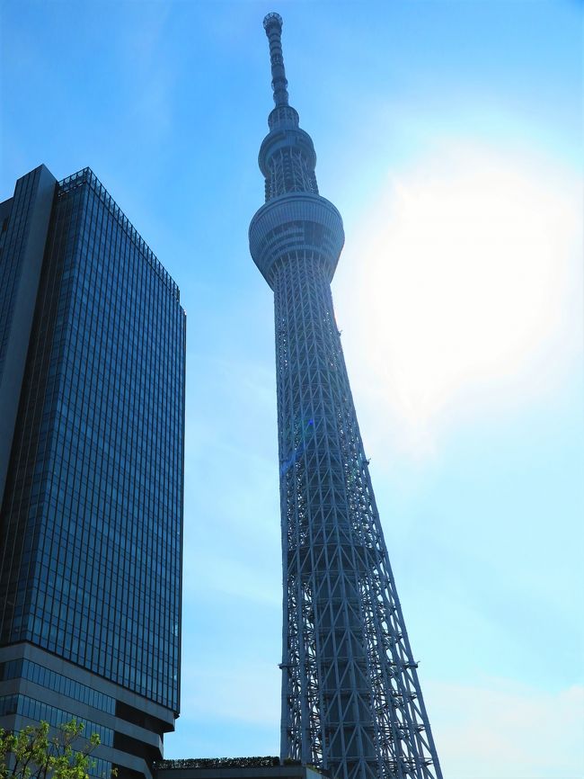 東京スカイツリー（英: TOKYO SKYTREE）は、東京都墨田区押上一丁目にある電波塔（送信所）である。観光・商業施設やオフィスビルが併設されており、ツリーを含め周辺施設は「東京スカイツリータウン」と呼ばれる。2012年5月に電波塔・観光施設として開業した。<br /><br />東京スカイツリーの建設目的は東京タワーが位置する都心部では超高層建築物が林立し、その影となる部分に電波が届きにくくなる問題を低減するほかにワンセグやマルチメディア放送といった携帯機器向けの放送を快適に視聴できるようにすることも建設目的の一つとされた。<br /><br />事業主体は東武鉄道が筆頭株主となる「東武タワースカイツリー株式会社」。事業費は約650億円。施工は大林組、設計は日建設計である。テレビ局からの賃貸料および観光客からの入場料などで収益を得る見込みである。<br /><br />2008年7月14日に着工され、3年半の期間をかけて2012年2月29日に竣工した。2012年5月22日に展望台として開業し、2011年12月から2013年5月にかけて放送局の試験放送ならびに本放送を実施する計画であった。<br />（フリー百科事典『ウィキペディア（Wikipedia）』より引用）<br /><br />東京スカイツリー　については・・<br />http://www.tokyo-skytree.jp/<br />