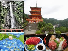 那智勝浦でマグロ尽くしランチ　世界遺産　那智の滝と熊野那智大社