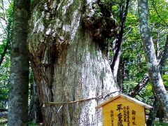 2016年６月湯西川温泉まで爽やかな風に誘われて森林浴を楽しみました。