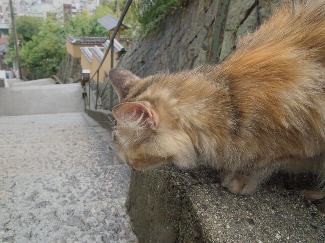 平成28年6月、梅雨入り直後。<br /><br />旅好きの私たちには、いつか行きたいと思っている町がいくつもあります。<br />そのうちの一つ、「尾道」に行くことになりました。<br /><br />きっかけとなったのは「浄土寺」の秘仏特別公開。<br />この機会を逃すと、次の公開は平成46年。<br />そんなには待てません。<br /><br />尾道は大林信康や小津安二郎など、多くの映画作品に描かれた町です。<br />そして林芙美子や志賀直哉のように、文人も暮らした町です。<br /><br />どうせ行くなら、泊まる宿は竹村家本館にしよう。<br />「東京物語」の世界に浸ってみよう。<br /><br />1泊2日の尾道旅行記です。<br /><br />