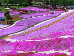 大空-1　ひがしもこと芝桜公園a　１０ヘクタールの丘一面　☆遊覧車で展望台へ