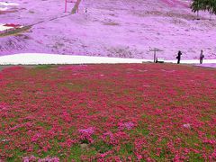 大空-2　ひがしもこと芝桜公園b　頂上に山津見神社　☆参拝し階段を下る