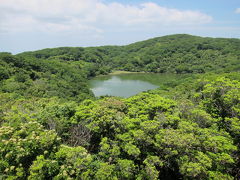 樹林帯を抜けて、天城の瞳と呼ばれる八丁池へ