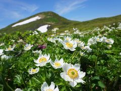 東北の花の名峰・焼石岳　日帰り登山