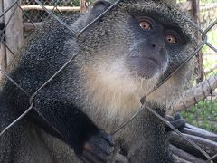 タンザニア滞在記17（ダルエスサラーム動物園編）