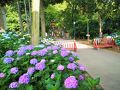 川越の旅行記